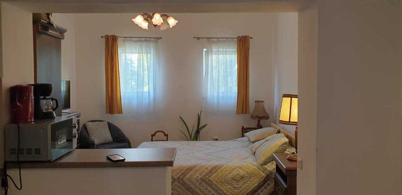Cozy Home In The Heart Of Cluj Napoca Bagian luar foto