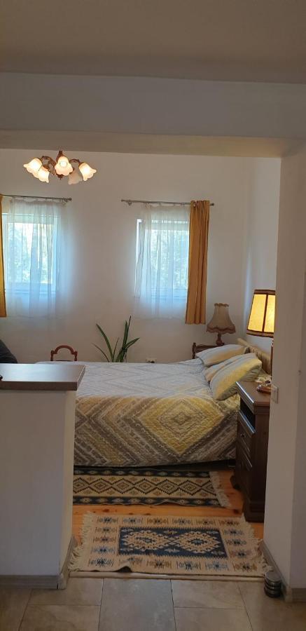 Cozy Home In The Heart Of Cluj Napoca Bagian luar foto