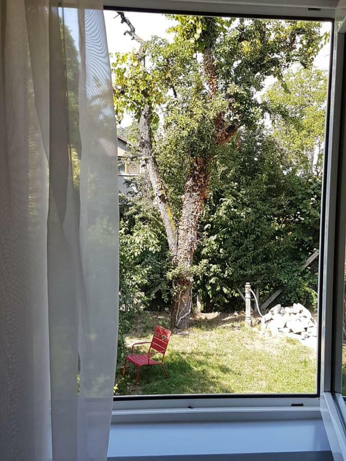 Cozy Home In The Heart Of Cluj Napoca Bagian luar foto